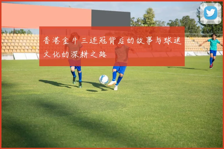 香港金牛三连冠背后的故事与球迷文化的深耕之路