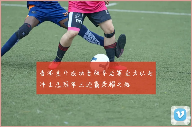 香港金牛成功晋级季后赛全力以赴冲击总冠军三连霸荣耀之路